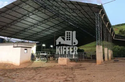 Fazenda com 6 dormitórios à venda, 851471 m² por R$ 8.000.000,00 - Área Rural de Itajubá - Itajubá/MG