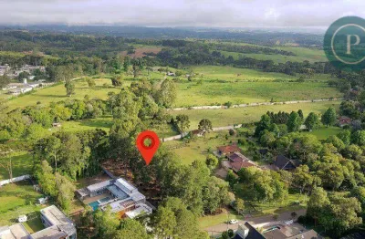 Terreno à venda, 3500 m² por r$ 850.000,00 - borda do campo - são josé dos pinhais/pr