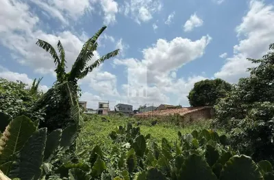 Terreno à venda na Travessa Lomas Valentinas, Sacramenta, Belém