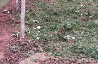 Terreno em condomínio para venda em teresópolis, albuquerque