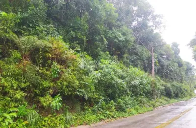 Terreno à venda na estrada cristóvão machado de campos, 4441, vargem grande, florianópolis, 10000 m2 por r$ 850.000