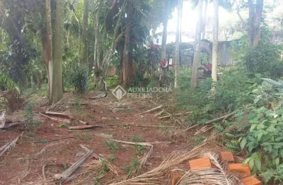 Fazenda à venda na estrada henrique rosa, 250, riacho grande, são bernardo do campo, 5000 m2 por r$ 500.000