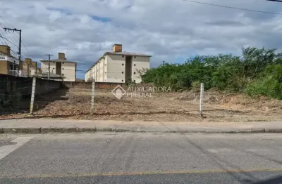 Terreno à venda na Rua Antonio da Bicota, 001, Pachecos, Palhoça, 717 m2 por R$ 630.000