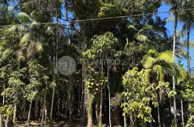 Terreno amplo em região arborizada à venda, ouro fino, paranagua - pr
