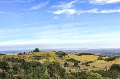 Sítio à venda com 1 quarto em área rural de são joão da boa vista, são joão da boa vista - sp