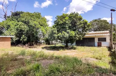 Barracão à venda ou para alugar em área rural de são joão da boa vista, são joão da boa vista - sp