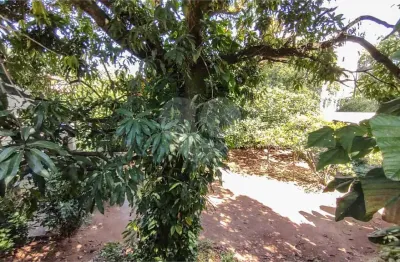 Terreno à venda na Rua Piratininga, Jardim Satélite, São João da Boa Vista