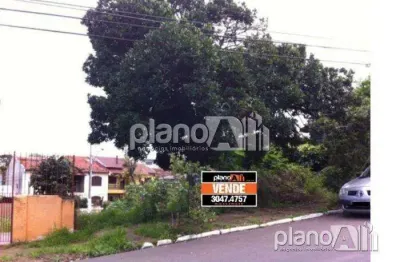 Terreno para aluguel, com 264m², - centro - gravataí / rs por r$ 1.500,00