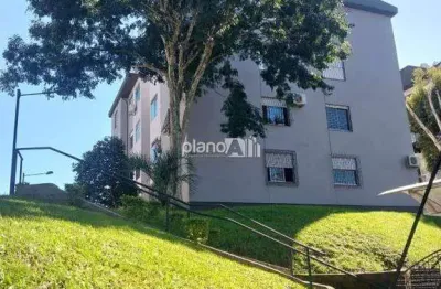 Apartamento Crater para aluguel, com 48,42m², 2 quartos - Salgado Filho - Gravataí / RS por R$ 1.550,00