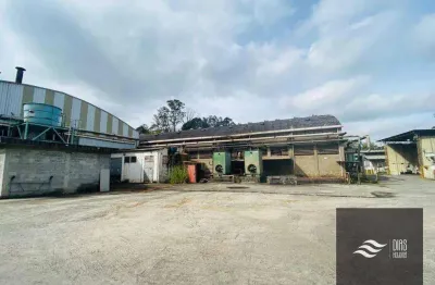 Terreno comercial para alugar na Rua Agrimensor Sugaya, Colônia, São Paulo