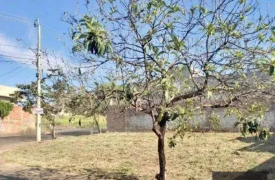 Terreno à venda na rua valdir fernando de marchi, parque residencial j. macedo, são josé do rio preto, 260 m2 por r$ 155.000