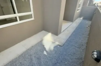 Repasse/ ágio  no bairro novo milênio /gramame terreo com area externa. varanda e suite   fale no whatsapp