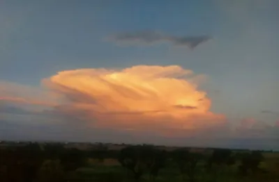 Apartamento com 2 quartos à venda na Rua do Calistemon, Panorama, Uberlândia