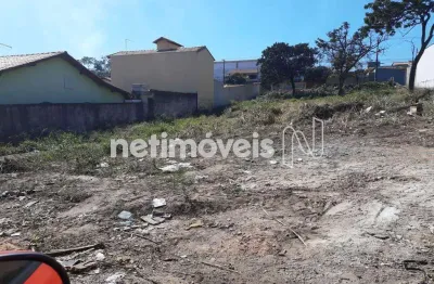 Terreno comercial para alugar na Rua Caldas da Rainha, São João, Betim