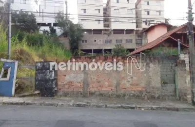 Terreno à venda na Rua Amaro Ribeiro Coelho, Alto Caiçaras, Belo Horizonte