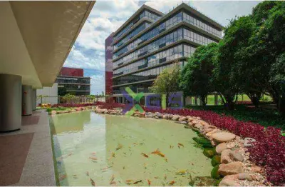 Sala comercial com 2 salas para alugar na Avenida Anísio Haddad, Jardim Palmeiras, São José do Rio Preto