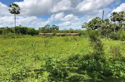 Terreno à venda na Avenida Manoel Feliciano De Lima, Camará, Aquiraz
