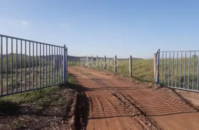 Fazenda à venda na rodovia hermínio petrin, s/n, s/n, santa terezinha, piracicaba, 600 m2 por r$ 50.000.000