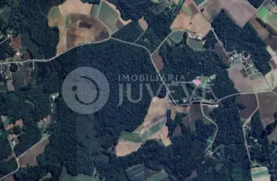 Imobiliaria juveve vende terreno mata fechada sao jose dos pinhais campo largo da roseira rua domingos burakowski