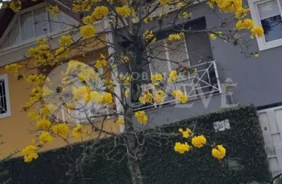 Imobiliaria juveve vende sobrado triplex, jardim social , alto da xv, rua madre leonie, 803 , suite closet, dois dormitorios