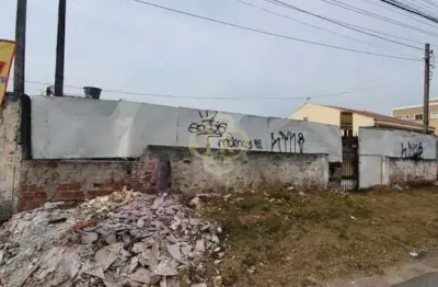 Terreno residencial à venda, roseira, são josé dos pinhais - te0011.