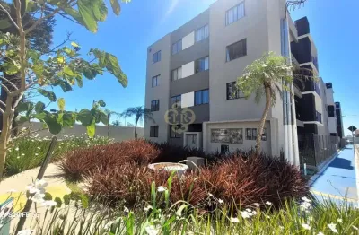 Apartamento com 2 quartos à venda no Ouro Fino, São José dos Pinhais 