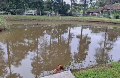Chácara com 3 dormitórios à venda, 7774 m² - campina do taquaral - são josé dos pinhais/pr