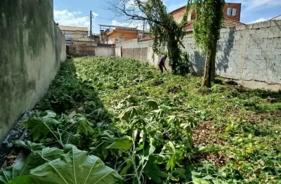Aqui tem ao menos 3 ideias de construção neste terreno plano.