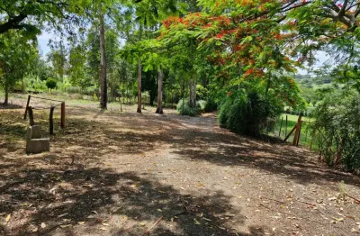 Sitio com 4,5 alq. a 800m da rod. cornélio pires - bairrinho, saltinho sp