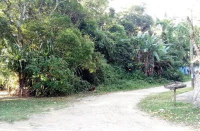 Terreno com 2000 metros em local maravilhoso  com muito verde