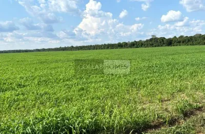 Fazenda à venda em nova lacerda-mt: 3 quartos, 1 suíte, 3 salas, 4 banheiros, 15.900 hectares de área rural. aproveite!