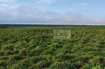 Fazenda à venda em marcelândia-mt: 3 quartos, suíte, banheiro e 10.312 hectares na zona rural. aproveite!