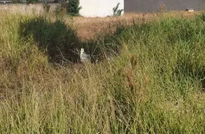 Terreno à venda na avenida das indústrias, 607, cidade industrial, curitiba por r$ 985.000
