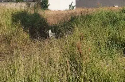 Terreno em condomínio fechado à venda na avenida das indústrias, 607, cidade industrial, curitiba por r$ 985.000