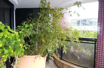 Cobertura com 4 quartos à venda na Rua Professor Alexandre Correia, Morumbi, São Paulo