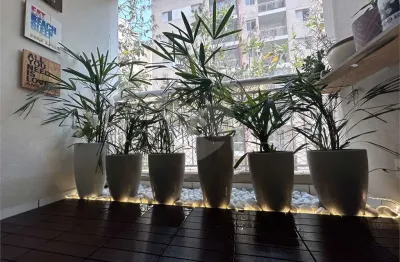 Apartamento com 3 quartos à venda em vila polopoli - sp