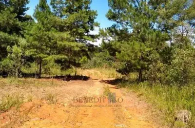 Chácara / sítio com 1 quarto à venda na Rua Principal, Cotia, São José dos Pinhais