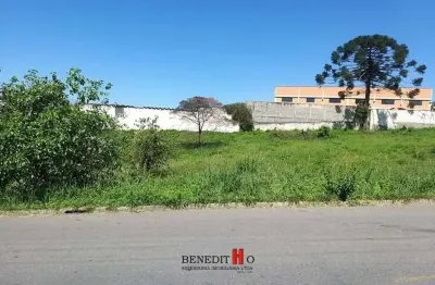 Terreno à venda na Rua Hugo Zen, Colônia Rio Grande, São José dos Pinhais
