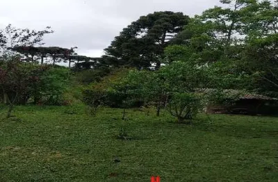 Chácara / sítio com 1 quarto à venda na Rua Nestor Negoseke, 3303, Colônia Zacarias, São José dos Pinhais