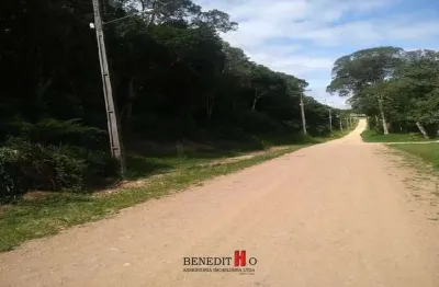 Chácara / sítio com 2 quartos à venda na Rua Ernesto Plantes Machado, Colônia Malhada, São José dos Pinhais