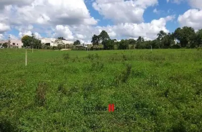 Terreno à venda na José Francisco Negoseki, Colônia Zacarias, São José dos Pinhais