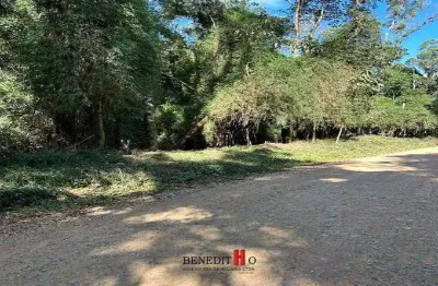 Chácara / sítio com 1 quarto à venda na Estrada Principal, Campestre da Faxina, São José dos Pinhais
