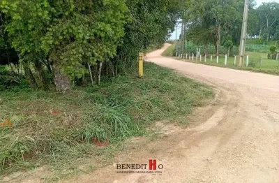 Chácara / sítio com 1 quarto à venda na Estrada Principal, Zona Rural, São José dos Pinhais