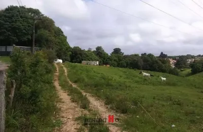 Chácara / sítio com 1 quarto à venda na Estrada Principal, Barro Preto, São José dos Pinhais