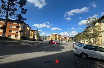 Apartamento com 2 quartos para alugar na Rua Antônio Kuss, Jardim Eldorado, São José dos Pinhais