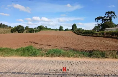 Terreno à venda na Rua José Francisco Negoseki, Colônia Zacarias, São José dos Pinhais