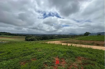 Chácara / sítio à venda na Estrada Principal, Roça Velha, São José dos Pinhais