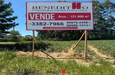 Chácara / sítio com 1 quarto à venda na Cotia, Campo Largo da Roseira, São José dos Pinhais