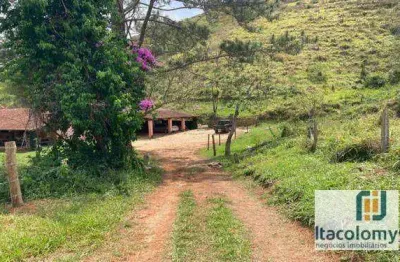 Fazenda com 2 salas à venda na Estrada Presidente Tancredo Neves, Pedrinha, Guaratinguetá