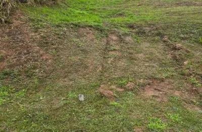 Terreno à venda, 750 m² por R$ 1.750.000,00 - Paiol Velho - Santana de Parnaíba/SP